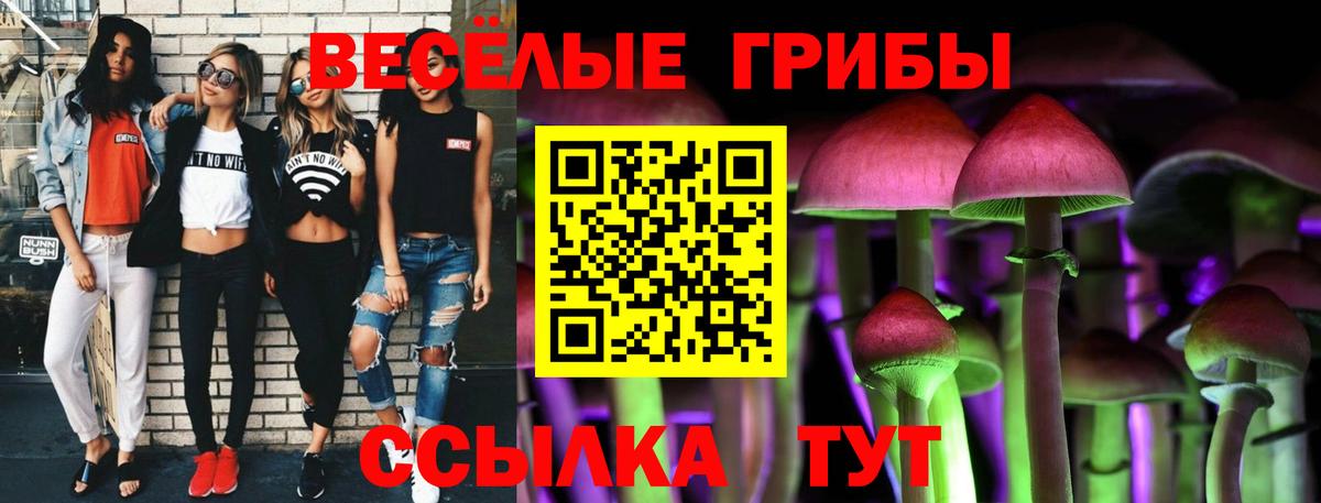 Галлюциногенные грибы мухоморы  Галлюциногенные грибы ЛСД  Вход с VPN  Ржев 